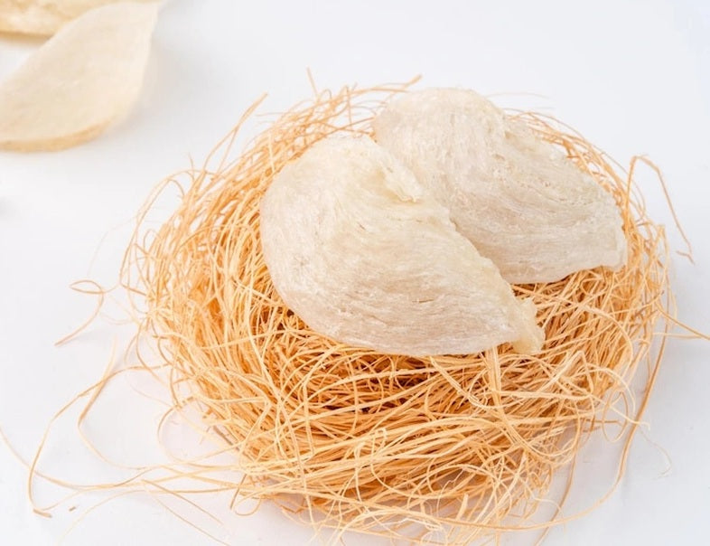 Tổ chim yến trắng - Lớp 5A